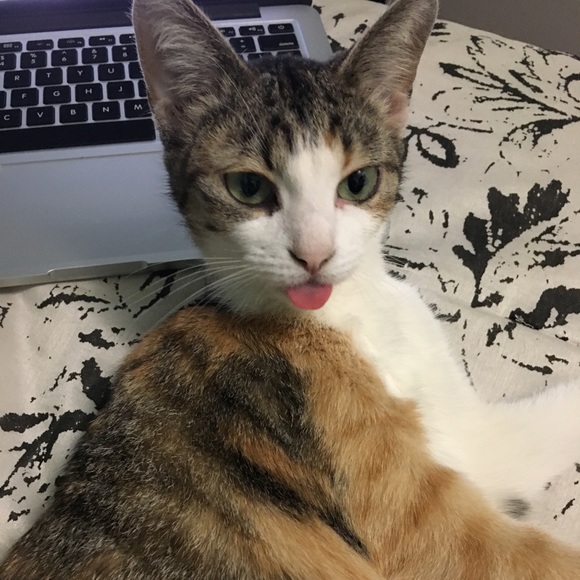 Meet your Posher, Myrella - Picture 1 of 1